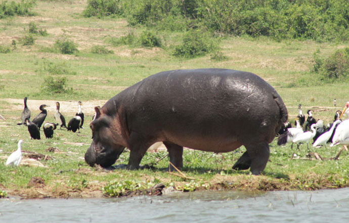 Nyamunyonyi tourism resort 